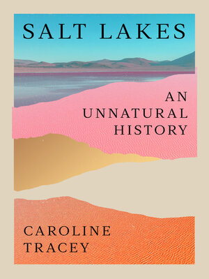 cover image of Salt Lakes